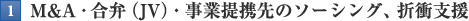 M&A・合弁（JV）・事業提携先のソーシング、折衝支援